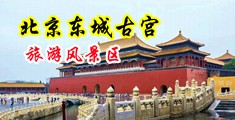肥逼视频中国北京-东城古宫旅游风景区